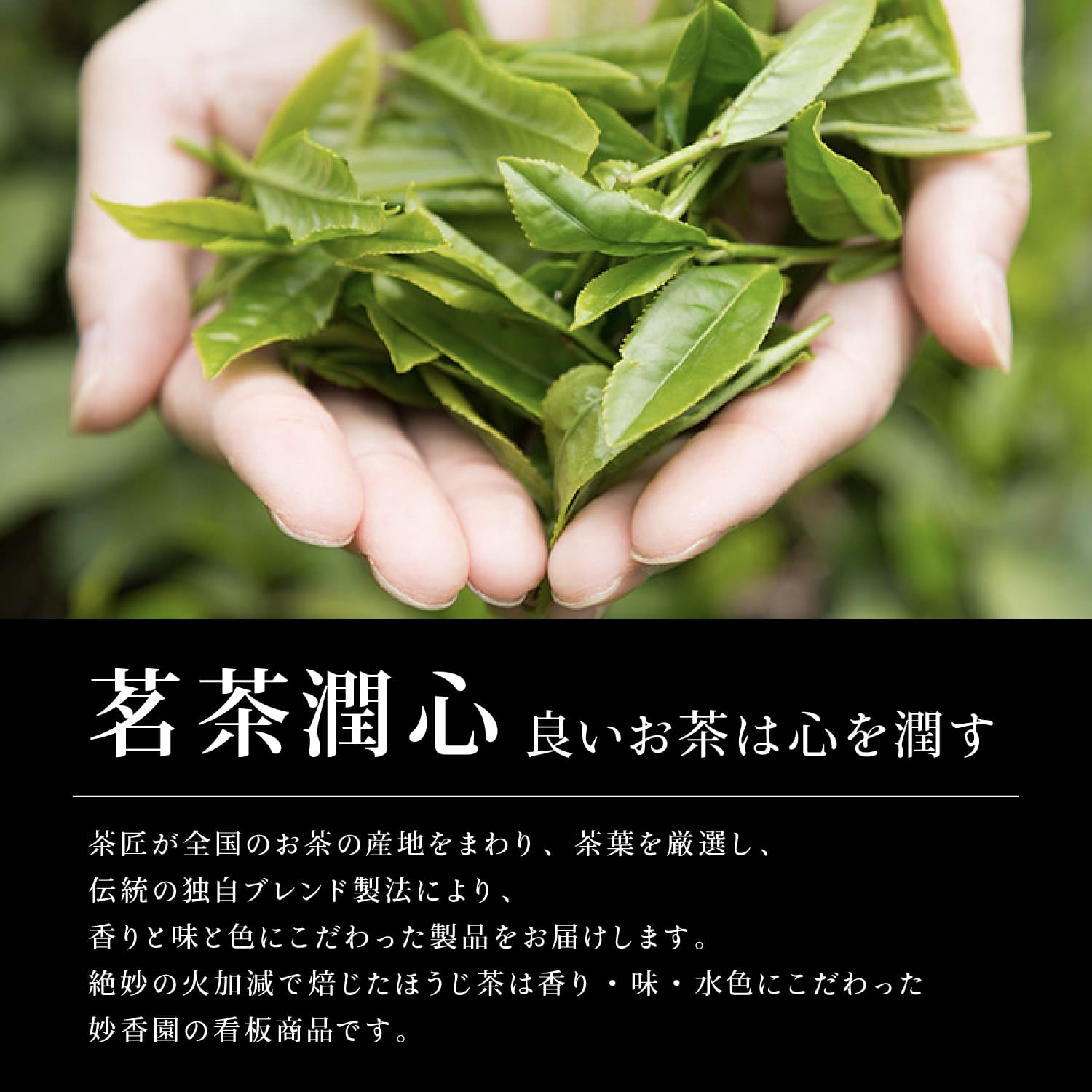 ギフトプレゼント和菓子【大須栗りん】妙香園ほうじ茶セット栗千本(黄金)スイーツ大福栗きんとん和菓子ギフト手土産冷凍お届け