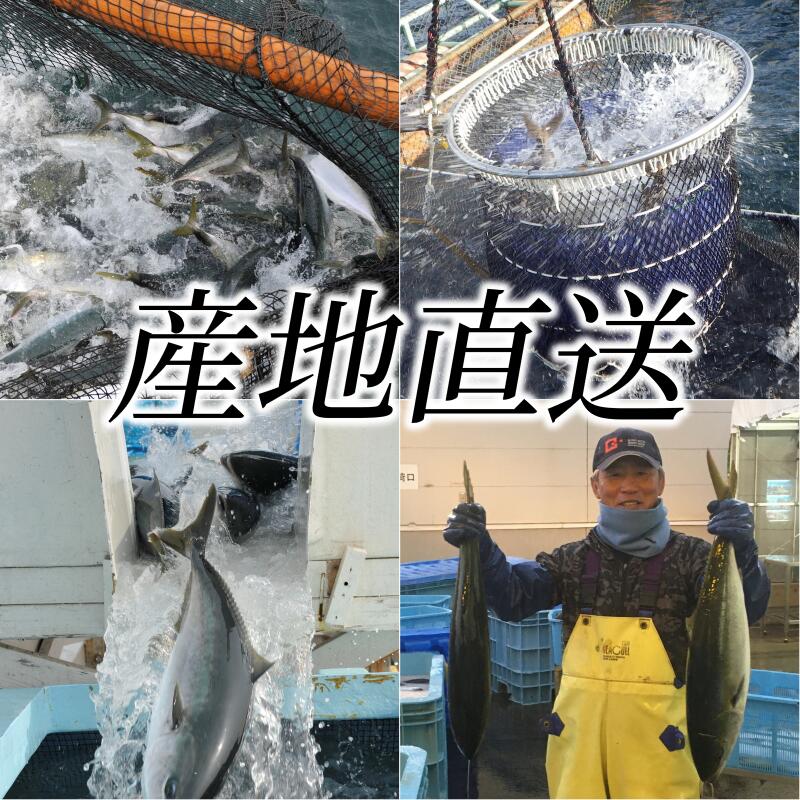 【鹿児島産ぶり冷凍】ぶりカマ3パックセット(2個/パック、約400g/パック)ー鰤ブリブリカマー