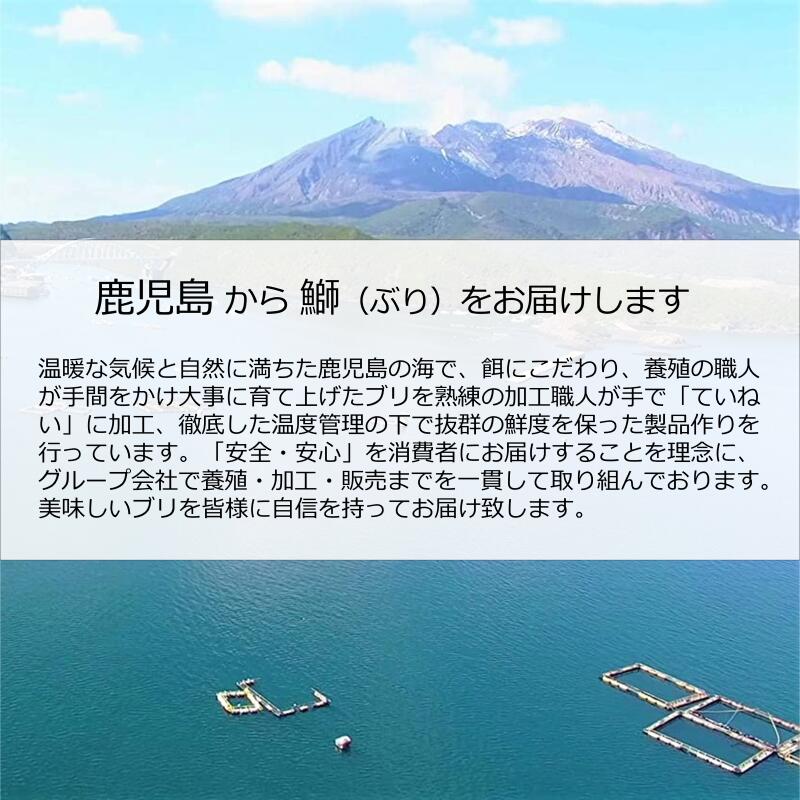 【鹿児島産ぶり冷凍】ぶりカマ3パックセット(2個/パック、約400g/パック)ー鰤ブリブリカマー