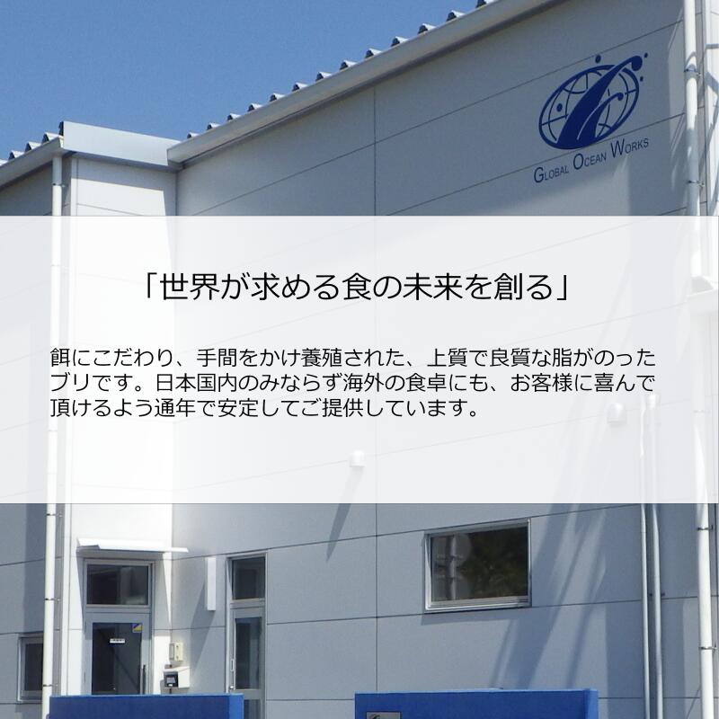 【鹿児島産ぶり冷凍】ぶりカマ3パックセット(2個/パック、約400g/パック)ー鰤ブリブリカマー