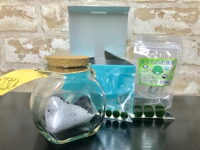 水草まりも瓶太鼓コルク栄養剤付きセット