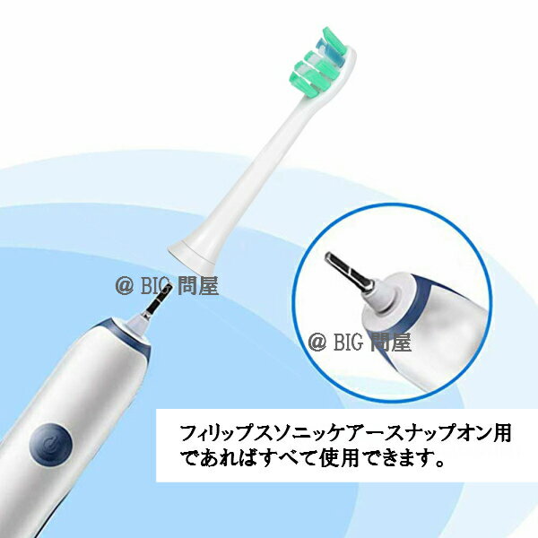 電動歯ブラシヘッド【レギュラーサイズ8本組】P-HX9024互換ブラシ替えブラシクリーンプラスHX9024対応替え歯ブラシスタンダード(フィリップス互換替ブラシヘッドソニッケアー)メール便送料無料