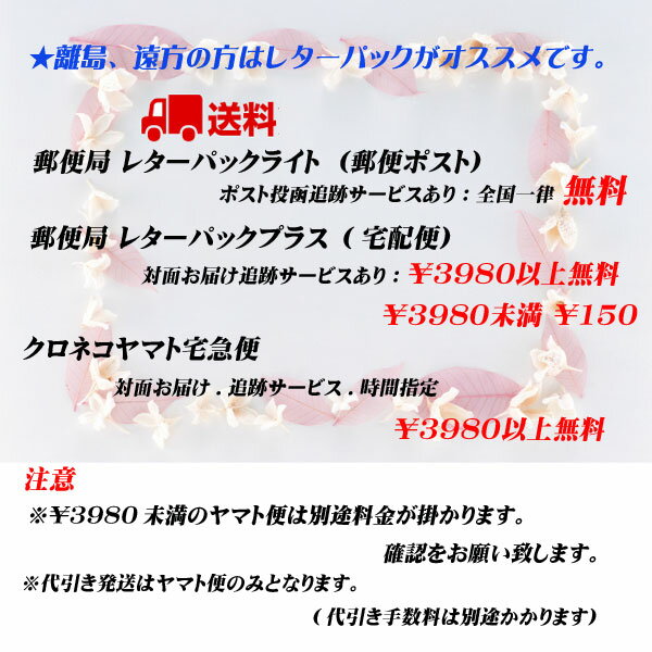 シルバーアクセサリーシルバー925ターコイズフェザーネックレスペンダントトップ太陽神羽翼Mサイズターコイズペンダントトップ