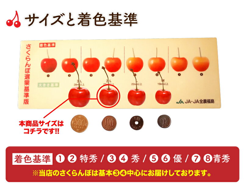 送料無料!さくらんぼ佐藤錦2Lサイズ500gバラ詰めご家庭用贈答品ギフト贈り物露地物福島県伊達市産産地直送