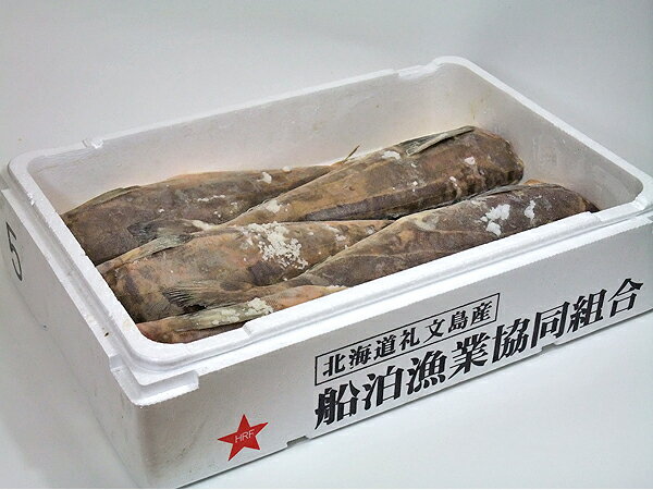 礼文島一汐ほっけ