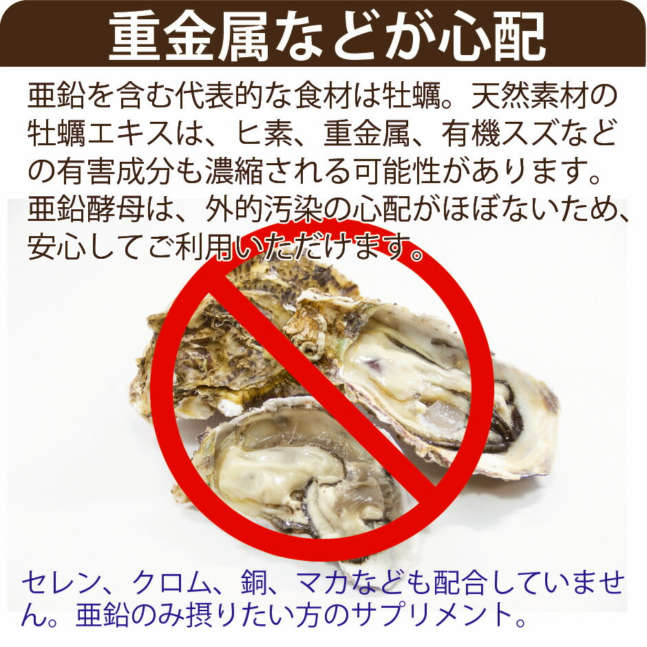 亜鉛サプリメント120日分2袋1日1粒男性女性エイジングケア元気美容子供髪の毛薄毛育毛妊活精力zincアエンex二日酔いネイルケアスカルプ大切な亜鉛