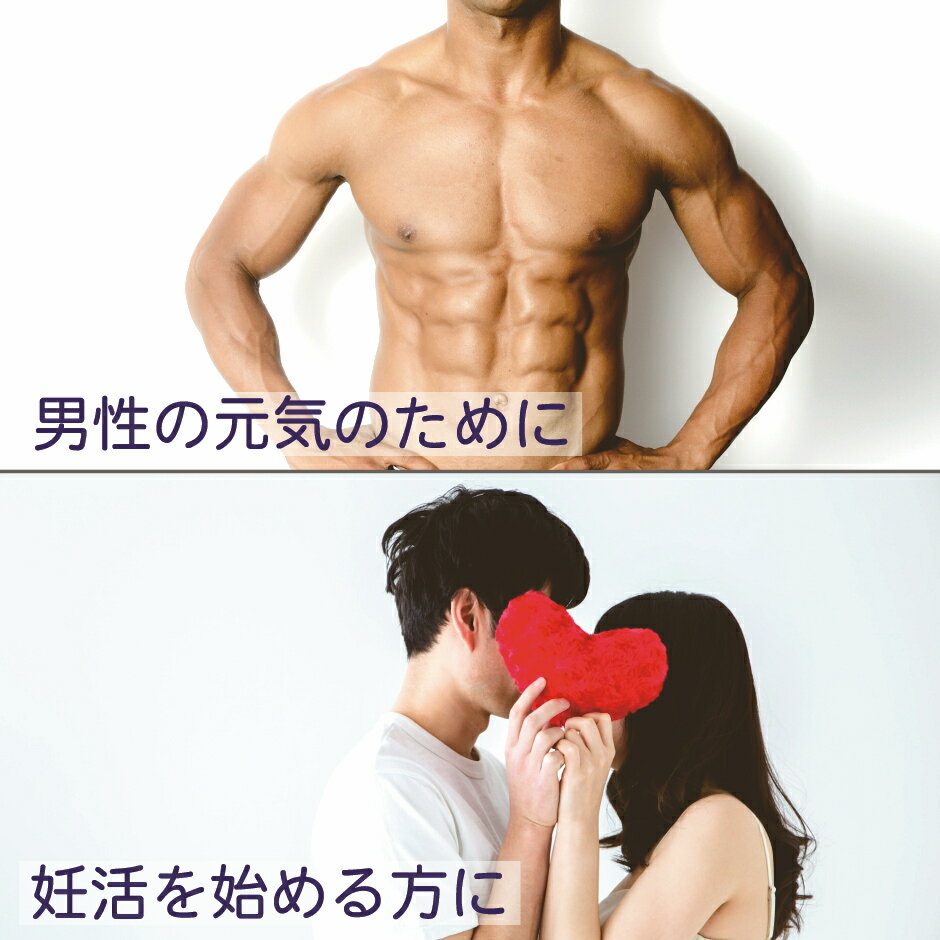 亜鉛サプリメント120日分2袋1日1粒男性女性エイジングケア元気美容子供髪の毛薄毛育毛妊活精力zincアエンex二日酔いネイルケアスカルプ大切な亜鉛