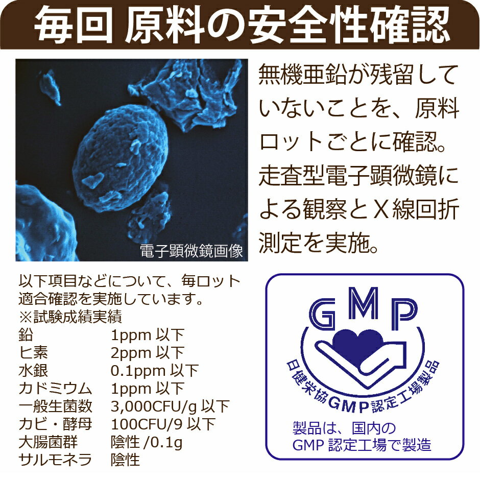 亜鉛サプリメント120日分2袋1日1粒男性女性エイジングケア元気美容子供髪の毛薄毛育毛妊活精力zincアエンex二日酔いネイルケアスカルプ大切な亜鉛