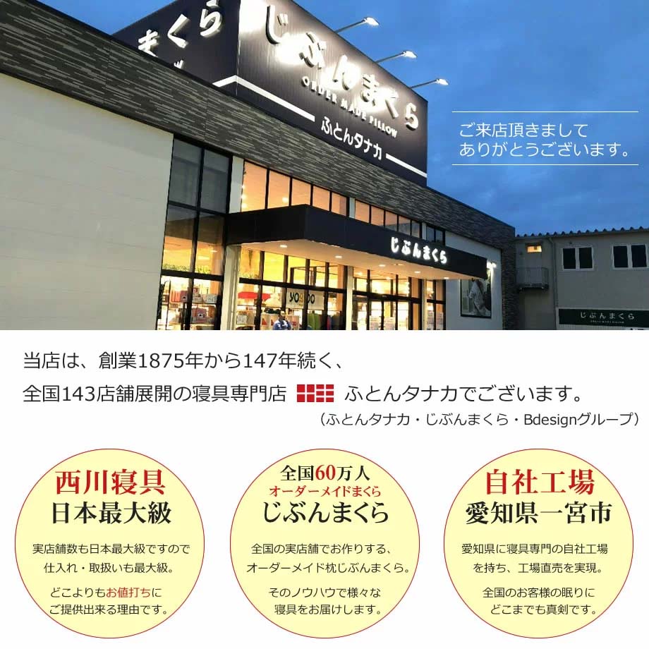 ねむねむネムネムプレミアム抱きまくらMサイズ