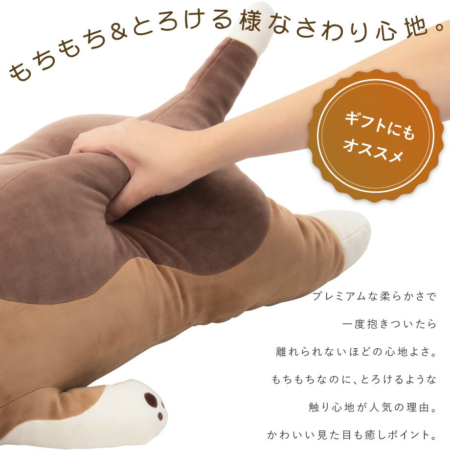 ねむねむネムネムプレミアム抱きまくらMサイズ