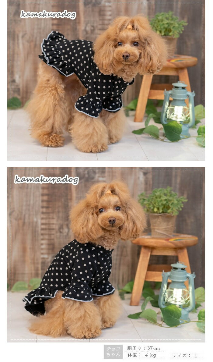 【犬の服】黒地ドットつなぎ&ワンピース