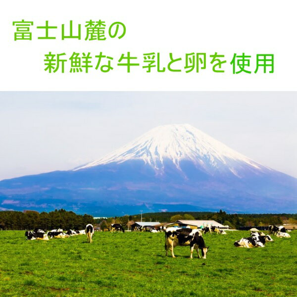【送料無料/税込】選べる2つのシフォンケーキ/食べて貰いたい訳あり価格