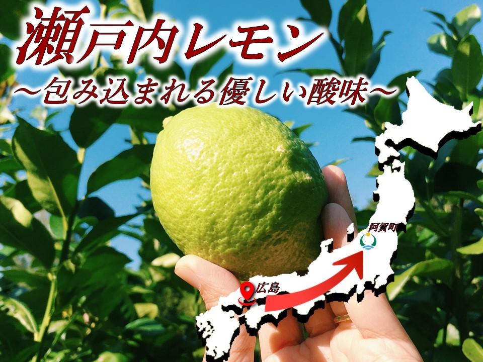 【出店1周年企画】20%OFF以上4個入小町レモン※父の日対応可レモンケーキ4個スイーツ洋菓子お取り寄せスイーツギフトお返しお取り寄せスイーツご当地スイーツギフト贈答品贈り物美味しいお菓子プレゼントお祝いお土産新潟きりん堂父の日