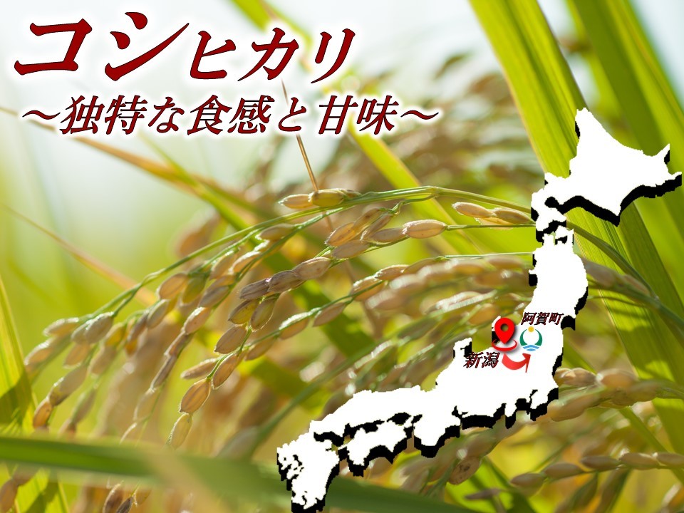 【出店1周年企画】20%OFF以上4個入小町レモン※父の日対応可レモンケーキ4個スイーツ洋菓子お取り寄せスイーツギフトお返しお取り寄せスイーツご当地スイーツギフト贈答品贈り物美味しいお菓子プレゼントお祝いお土産新潟きりん堂父の日