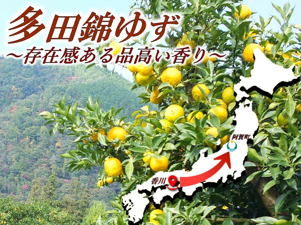 【出店1周年企画】20%OFF以上4個入小町レモン※父の日対応可レモンケーキ4個スイーツ洋菓子お取り寄せスイーツギフトお返しお取り寄せスイーツご当地スイーツギフト贈答品贈り物美味しいお菓子プレゼントお祝いお土産新潟きりん堂父の日