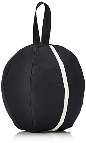 SWANS(スワンズ)スキースノーボードHA-36_BKヘルメットケースブラック