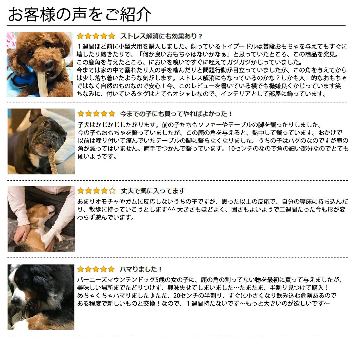 【15cm中型犬】鹿の角犬おもちゃ無添加おやつエゾジカ国産鹿角ガムデンタルケアmonolife
