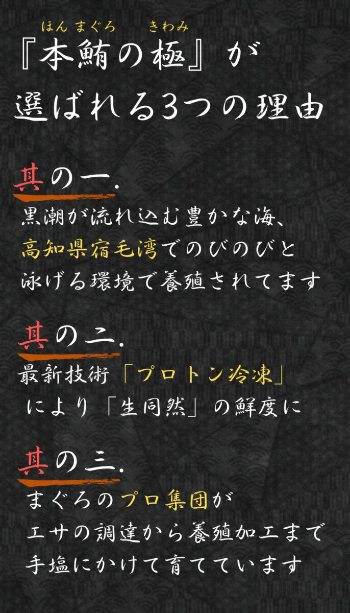 【本鮪の極赤身130g中トロ120g】セット高知土佐大月町冷凍養殖本マグロ黒マグロギフトプレゼント化粧箱自宅用お中元お歳暮母の日父の日丼ぶりおつまみ刺身寿司