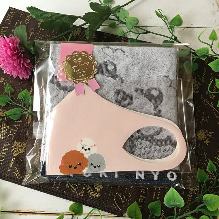 トイプードルマスクタオルギフトセット