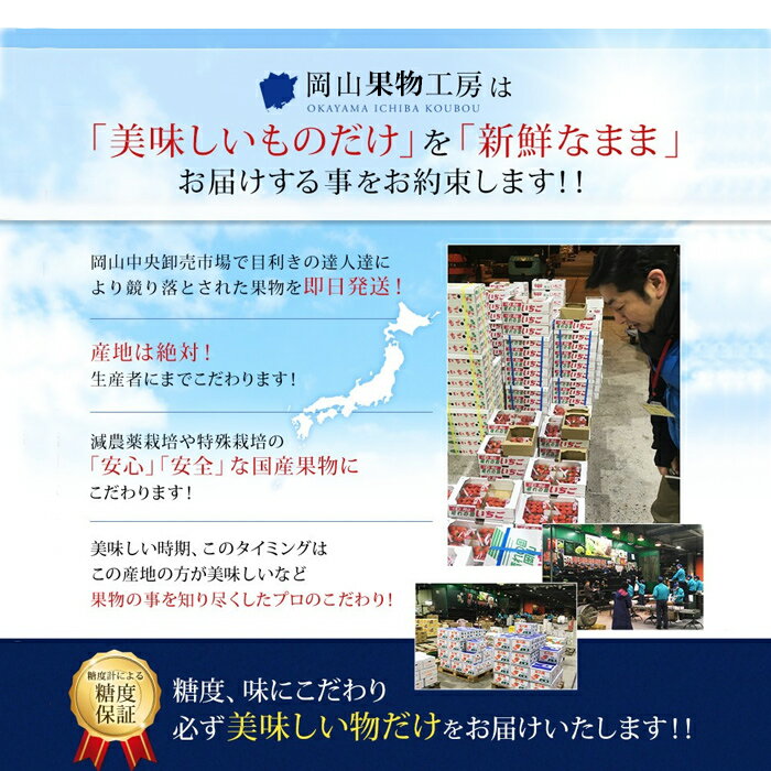 2022ギフト岡山白桃贈答用中玉3玉入り約800gロイヤル秀品桃御中元ギフト御礼プレゼント御礼御祝御供果物くだものフルーツ【岡山果物工房】※品種指定不可