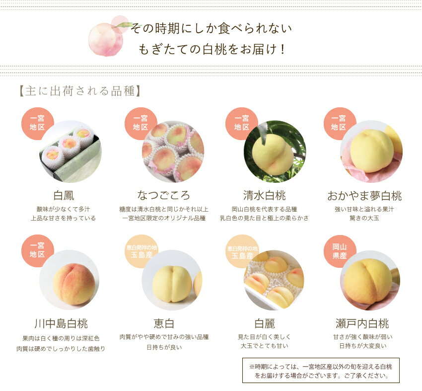 2022ギフト岡山白桃贈答用中玉3玉入り約800gロイヤル秀品桃御中元ギフト御礼プレゼント御礼御祝御供果物くだものフルーツ【岡山果物工房】※品種指定不可