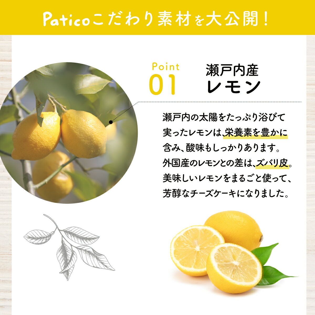 ギフトベジボックスクッキーアソート缶有機野菜お菓子詰め合わせ