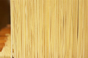 TVでも紹介!【送料無料】お中元にもおすすめ!お試しセット<大磯屋焼きそば5食+特製ソース+魚屋特選桜えびプレゼント!こだわりレシピ付き(ヤキソバ・やきそば)>【愛知県碧南市】【美味しい麺】【冷凍便同梱可】【ギフト】