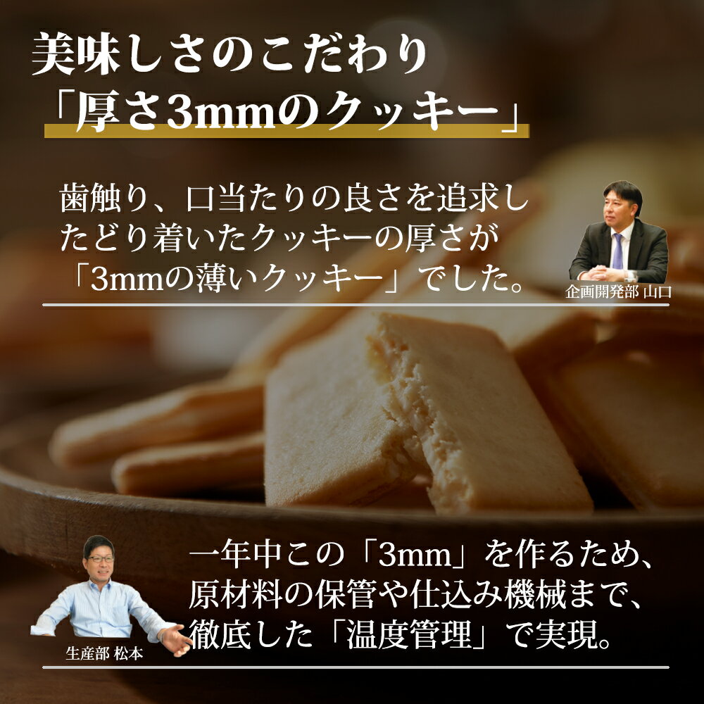 ソルト&カマンベールクッキー20枚入東京ミルクチーズ工場