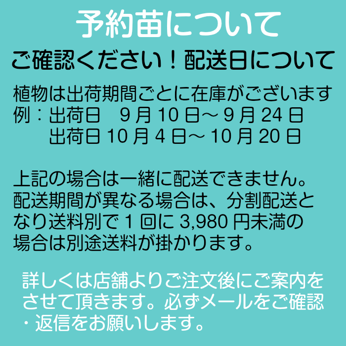 予約苗について