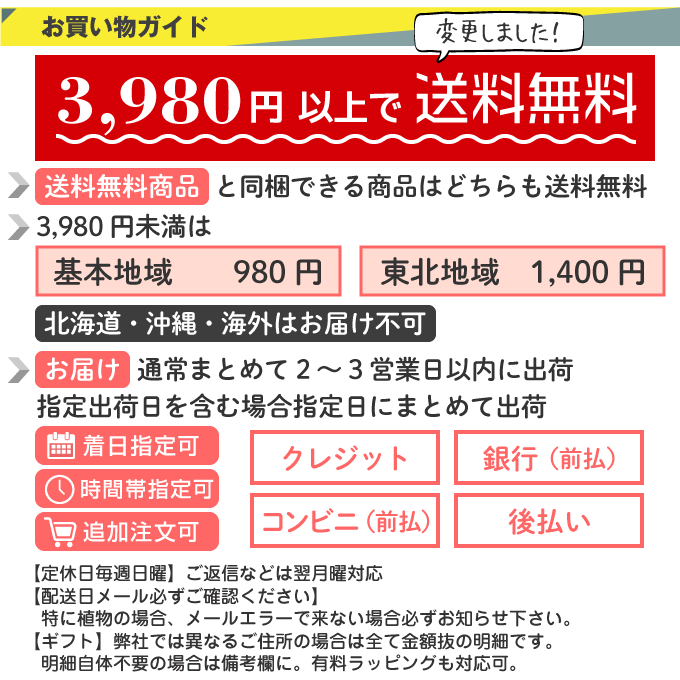 「花で人を笑顔に」の気持ちでお届けします!3980円以上で送料無料、送料一律980円(北海道・東北・沖縄を除く)、クレジット・代引・銀行振込
