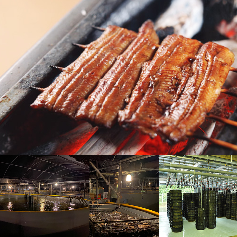 自社養殖のうなぎをたっぷり使ったおにぎりです。