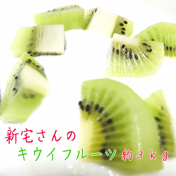 除草剤をほとんど使用せずキウイフルーツ栽培をされている新宅さんのキウイフルーツは甘みと酸味のバランスが抜群のとってもジューシーなキウイフルーツです。 和歌山有田 新宅さんのキウイフルーツ(ヘイワード) 約3kg 除草剤をほとんど使用せずキウイフルーツ栽培をされている新宅さんのキウイフルーツは甘みと酸味のバランスが抜群のとってもジューシーなキウイフルーツです。 和歌山有田 新宅さんのキウイフルーツ(ヘイワード) 約3kg