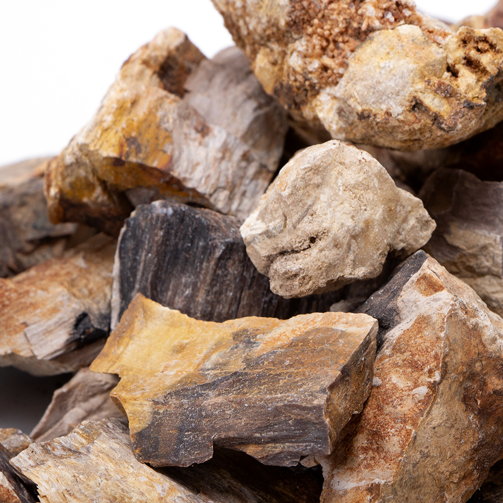 形状お任せ 木化石 スモールサイズミックス(約2~6cm) 1kg 関東当日便 形状お任せ 木化石 スモールサイズミックス(約2~6cm) 1kg 関東当日便