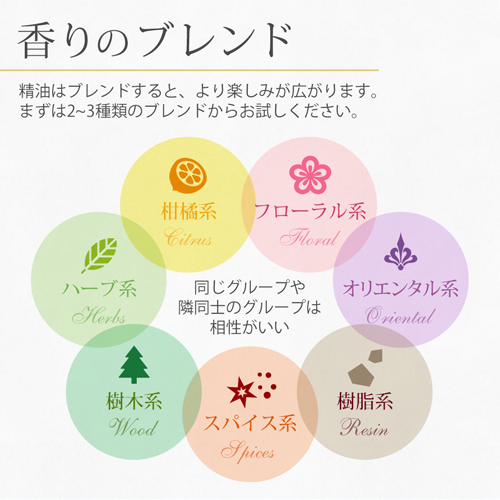 ティートリー100ml【精油エッセンシャルオイルアロマオイル】【RCP】バイキングで紹介された精油!〔公益社団法人日本アロマ環境協会表示基準適合認定精油〕