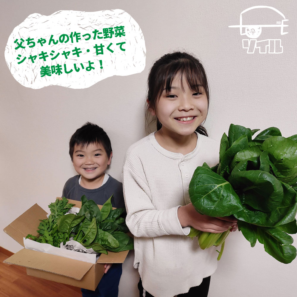 【ふるさと納税】《訳あり》飛騨ほうれん草約1.4kg200gtimes;7袋セット野菜葉物野菜ホウレンソウ産地直送