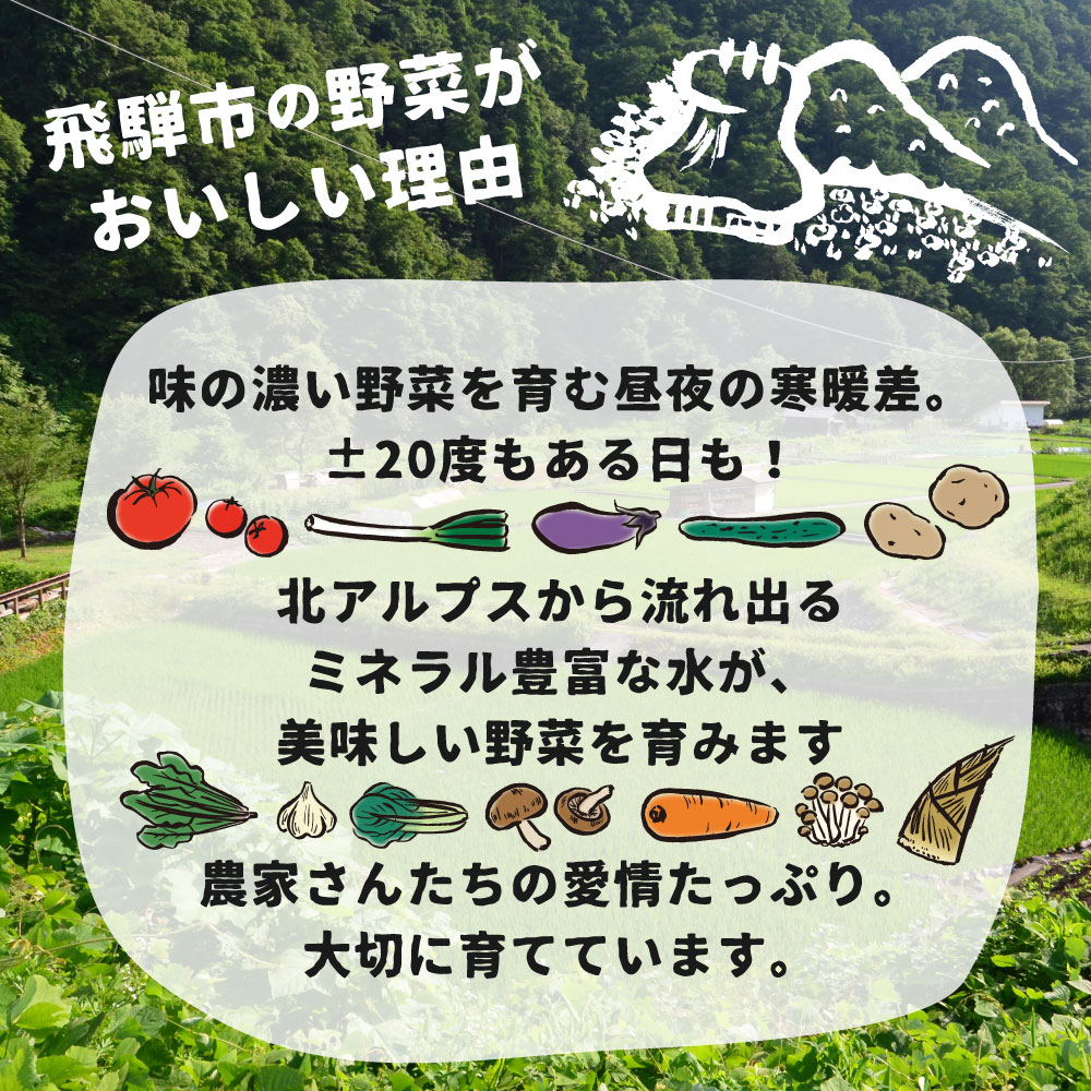 【ふるさと納税】《訳あり》飛騨ほうれん草約1.4kg200gtimes;7袋セット野菜葉物野菜ホウレンソウ産地直送