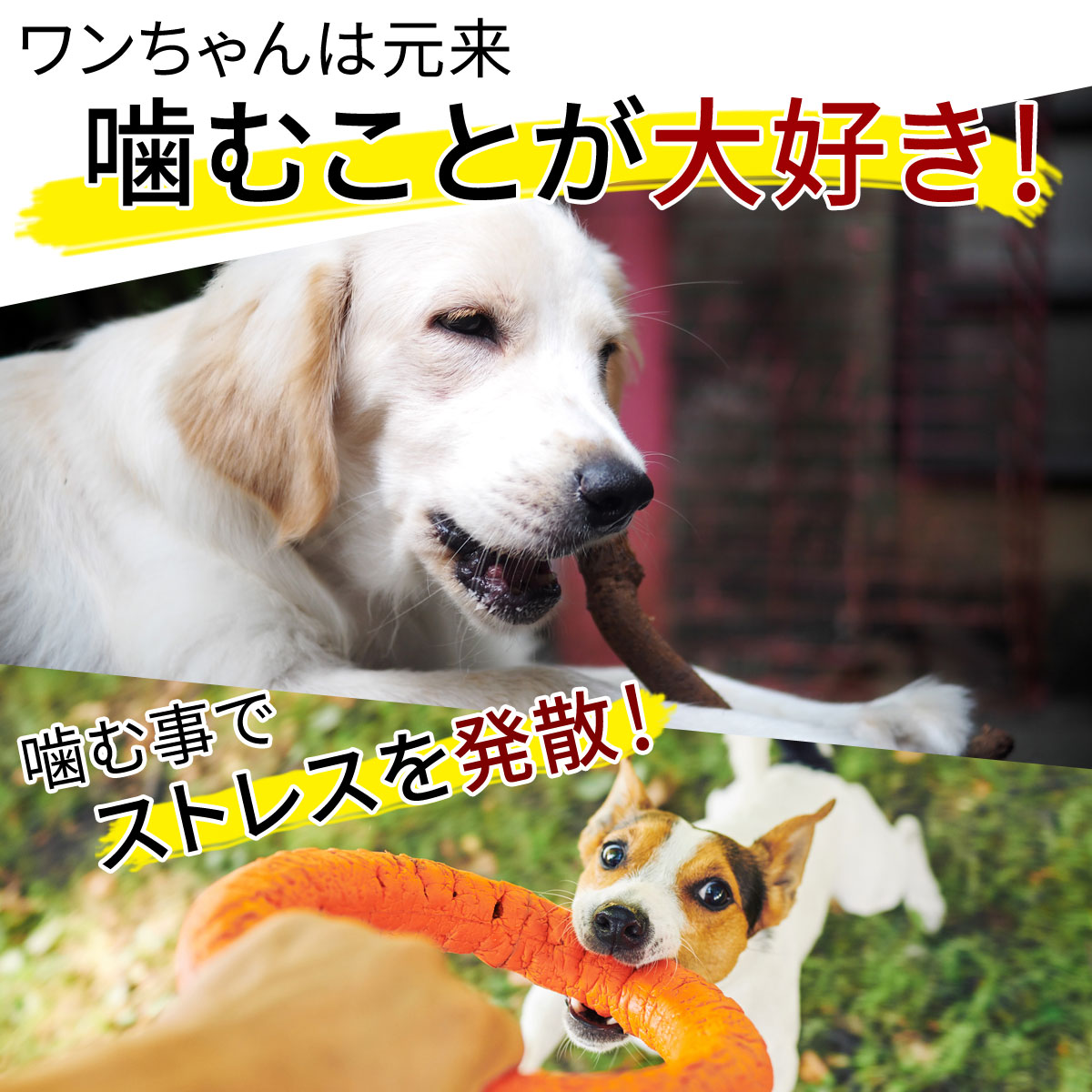 送料無料犬おやつ無添加鹿の角ガムどっぐふーどる歯磨き鹿角鹿角歯石取り国産おもちゃ小型犬天然|犬のおやつドッグ長持ち小型ペット歯磨きガム歯石ストレス解消グッズ犬おやつデンタルケア犬おもちゃ犬用品エチケットガムごはん