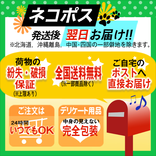 【あす楽発送ポスト投函!】【送料無料】【サージカルテープ】3M(スリーエム)マイクロポアサージカルテープスキントーン(肌色)1533-1(全長9.1mtimes;幅2.5cm)-肌になじんで目立ちにくいテープ。傷あとの保護・まつエクの施術・美容ケア【ネコポス】【smtb-s】