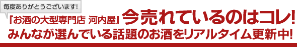 売上状況公開中!