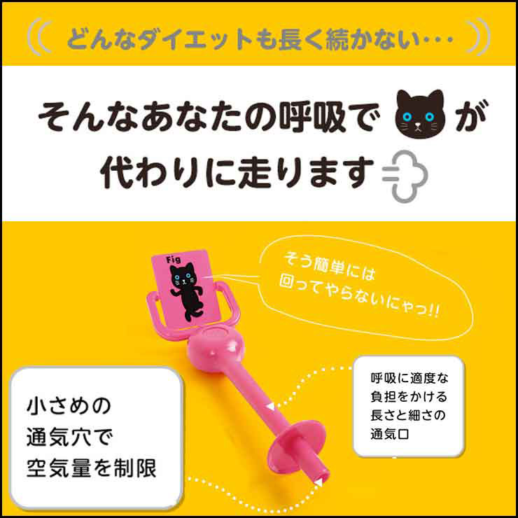 小顔腹式呼吸エクササイズお腹下腹顔筋肉鍛える自然に力が入る表情筋を刺激横隔膜刺激筋肉運動スッキリしたフェイスライン骨盤ゆらスリムN