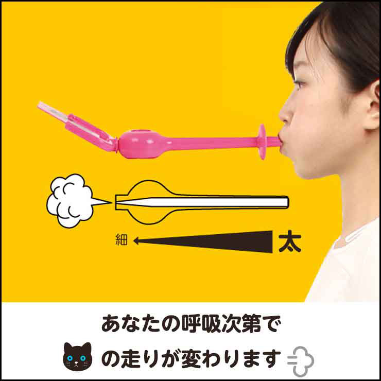 小顔腹式呼吸エクササイズお腹下腹顔筋肉鍛える自然に力が入る表情筋を刺激横隔膜刺激筋肉運動スッキリしたフェイスライン骨盤ゆらスリムN