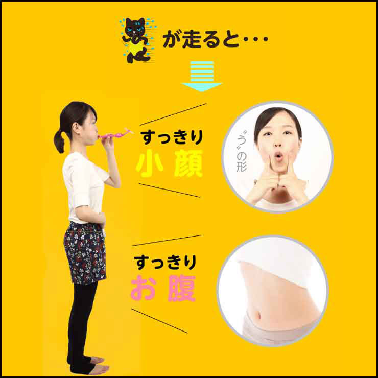 小顔腹式呼吸エクササイズお腹下腹顔筋肉鍛える自然に力が入る表情筋を刺激横隔膜刺激筋肉運動スッキリしたフェイスライン骨盤ゆらスリムN