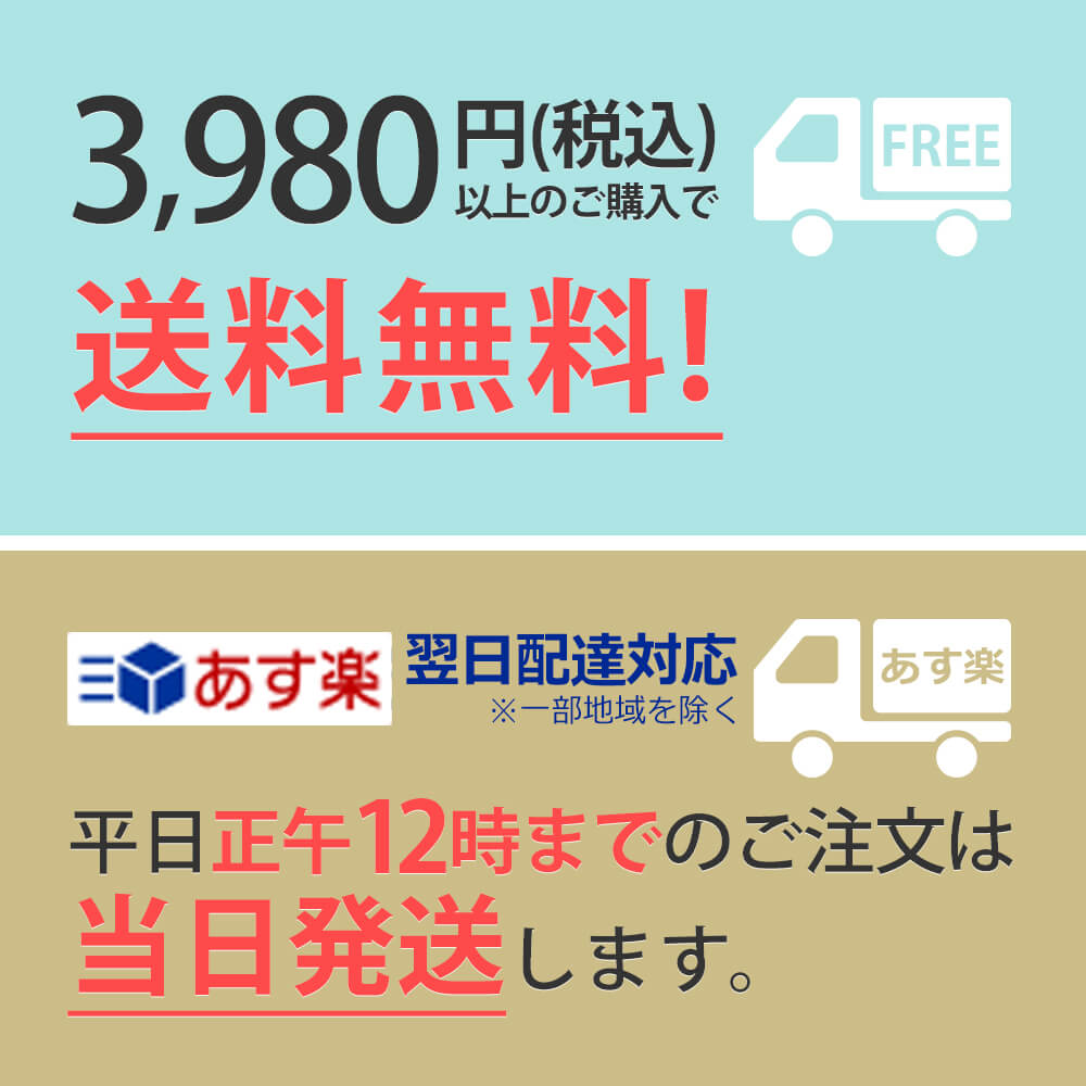 カットソーチュニックキャミソールアンサンブルトップスインナーセットレディース半袖夏大きいサイズカジュアルミセスファッションミセスファッション40代50代レース【23181009】