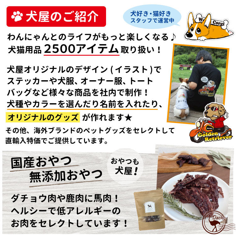 クッション・ゴールデンレトリバー・kingdogs・雑貨・グッズ・犬屋