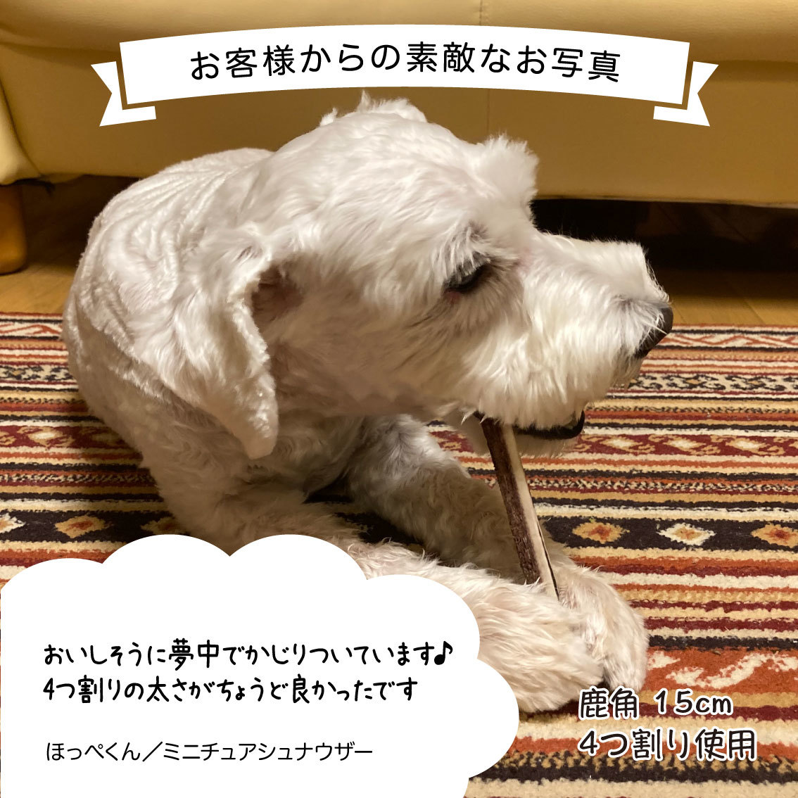 鹿の角犬おもちゃ15cm4つ割り1本鹿角小型犬国産北海道天然エゾ鹿角玩具デンタルケアガム歯磨きエゾシカ愛犬スティック骨ボーン角歯周病健康ペットお試しフード防止しつけ犬用