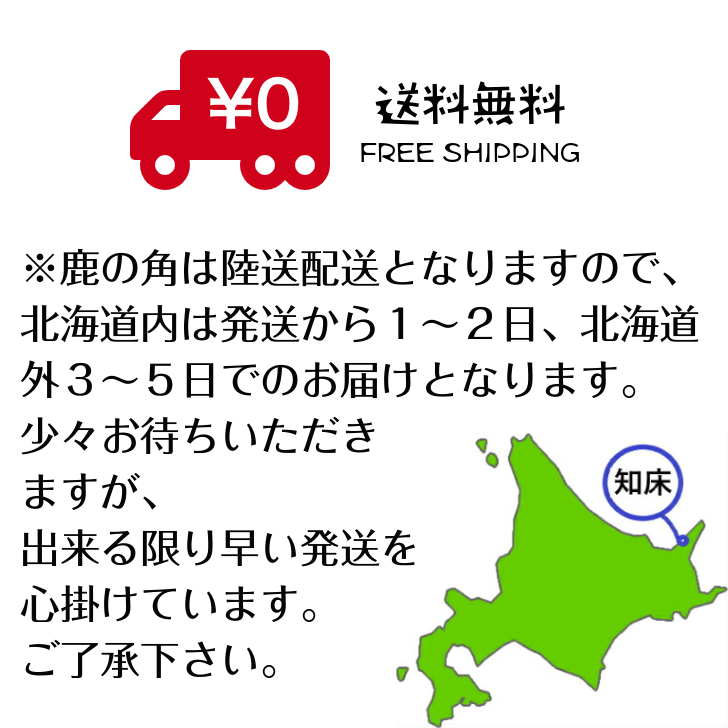 鹿の角犬おもちゃ15cm4つ割り1本鹿角小型犬国産北海道天然エゾ鹿角玩具デンタルケアガム歯磨きエゾシカ愛犬スティック骨ボーン角歯周病健康ペットお試しフード防止しつけ犬用