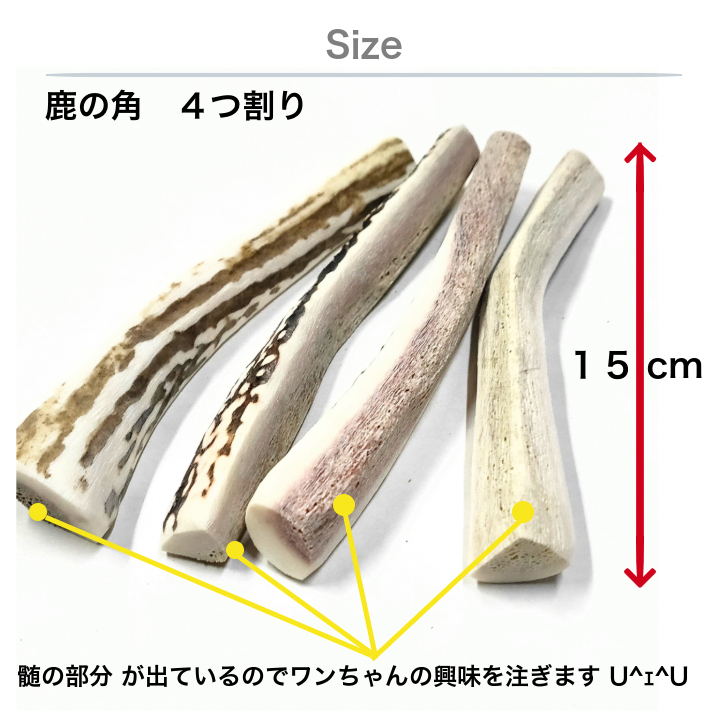 鹿の角犬おもちゃ15cm4つ割り1本鹿角小型犬国産北海道天然エゾ鹿角玩具デンタルケアガム歯磨きエゾシカ愛犬スティック骨ボーン角歯周病健康ペットお試しフード防止しつけ犬用
