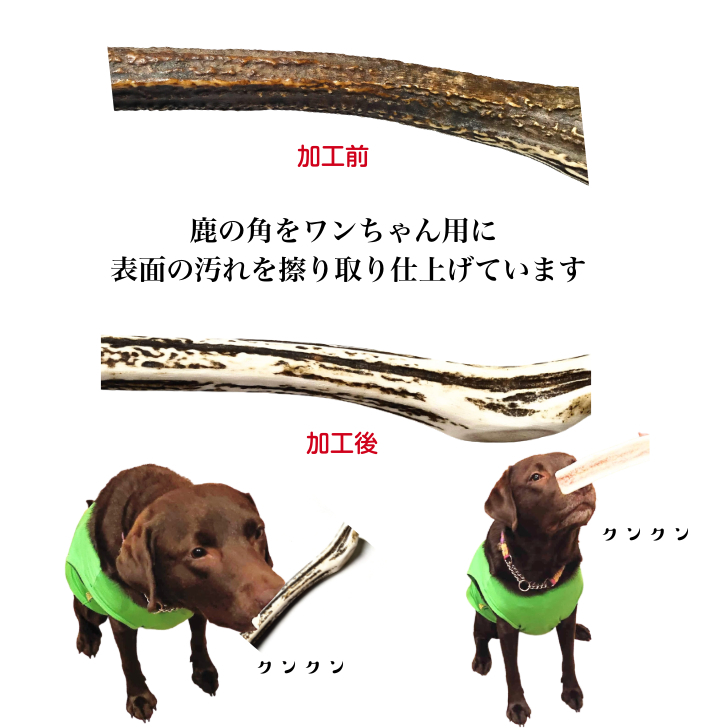 鹿の角犬おもちゃ15cm4つ割り1本鹿角小型犬国産北海道天然エゾ鹿角玩具デンタルケアガム歯磨きエゾシカ愛犬スティック骨ボーン角歯周病健康ペットお試しフード防止しつけ犬用