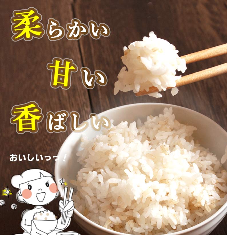 おいしいご縁秋田県産発芽玄米