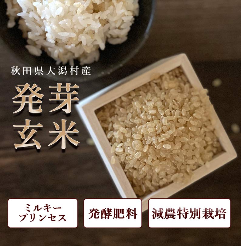 おいしいご縁秋田県産発芽玄米